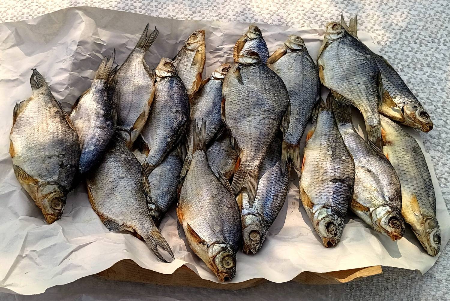 Photo #12260768