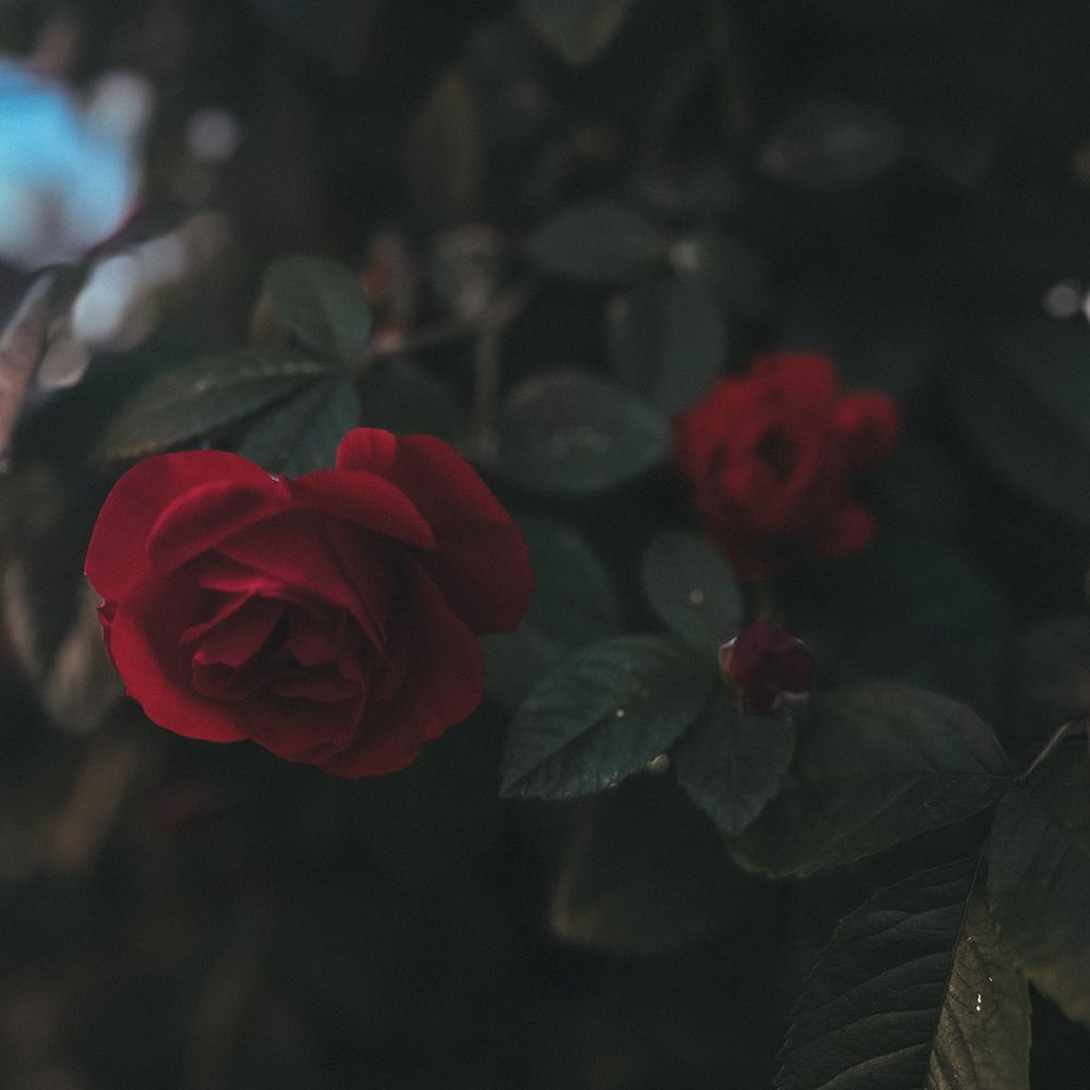 Фотография автора Карина