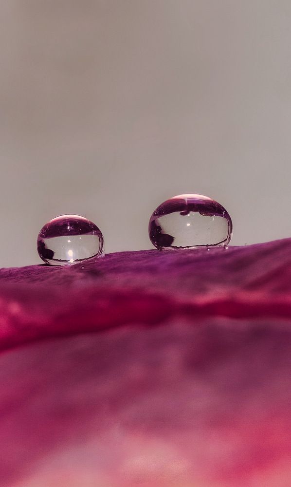 Photograph by Priyanka Dey Das