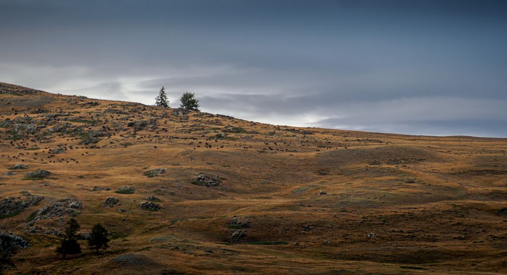 Photograph by Валентин Ефимов