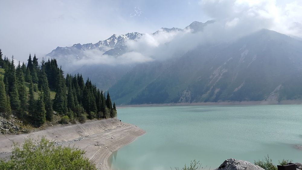 Photo #12261103