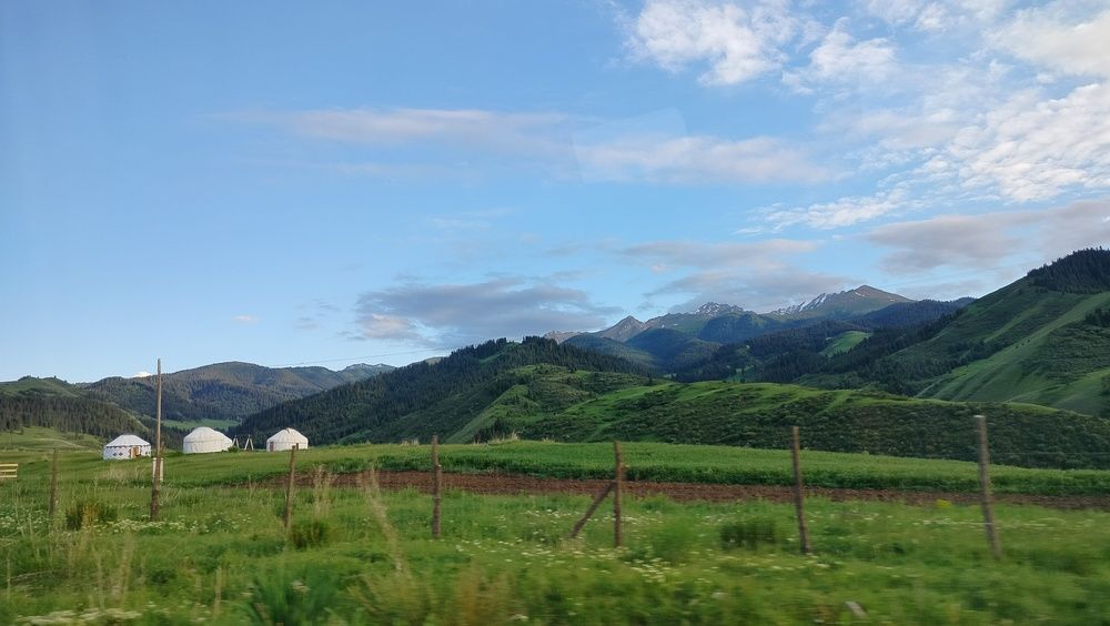 Photo #12261104