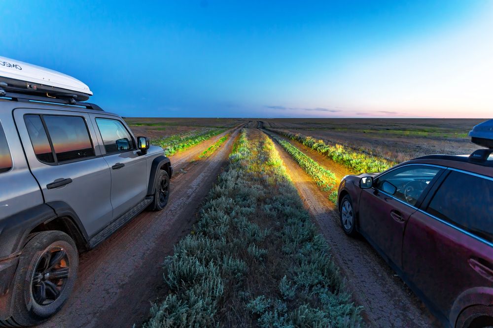 Photograph by Алексей Ромадов