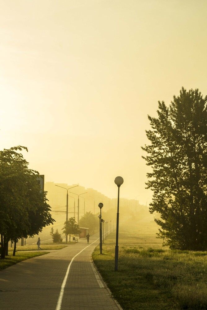 Photograph by 