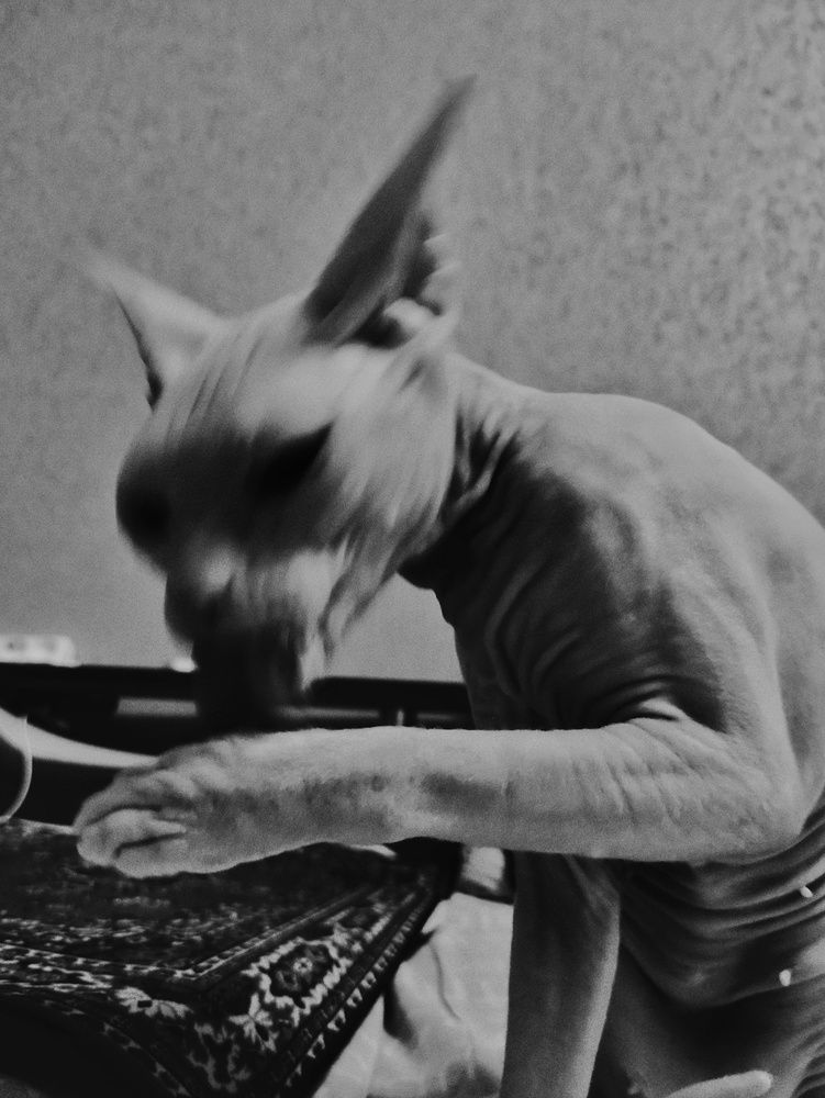 Photograph by Ирина Власова