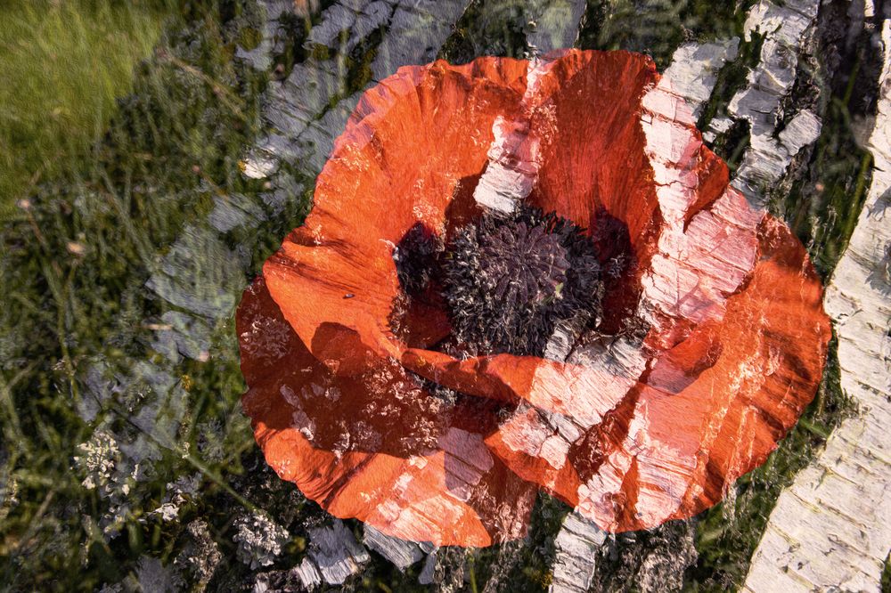 Фотография автора Ирина Гриценко