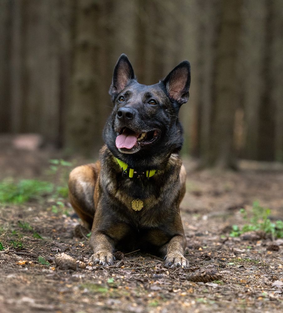 Photograph by Виктория