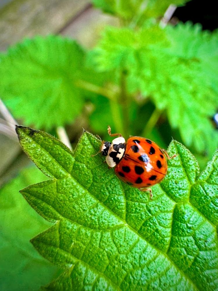 Photograph by Jagannath Madduri