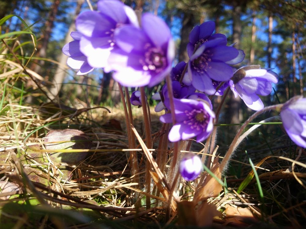 Photograph by Людмила Максименко