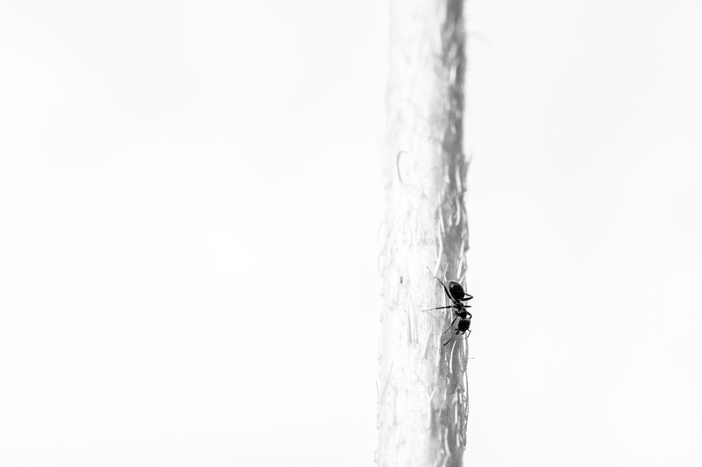 Фотография автора Ирина Гриценко