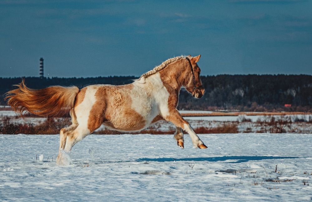 Photograph by Ольга Лобова