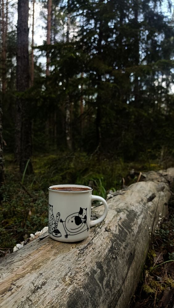Photo #12261504