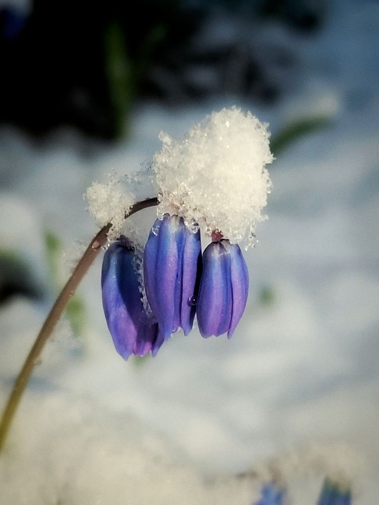 Photograph by Алина