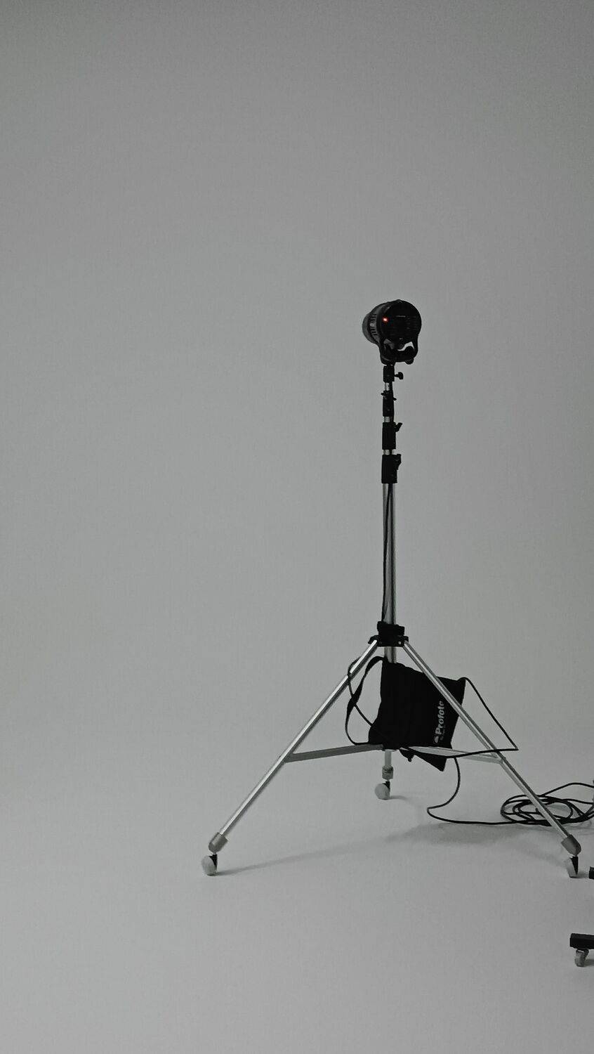 Photo #12261513