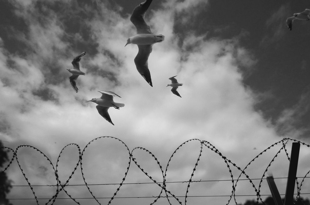 Photograph by Виктор Савельев