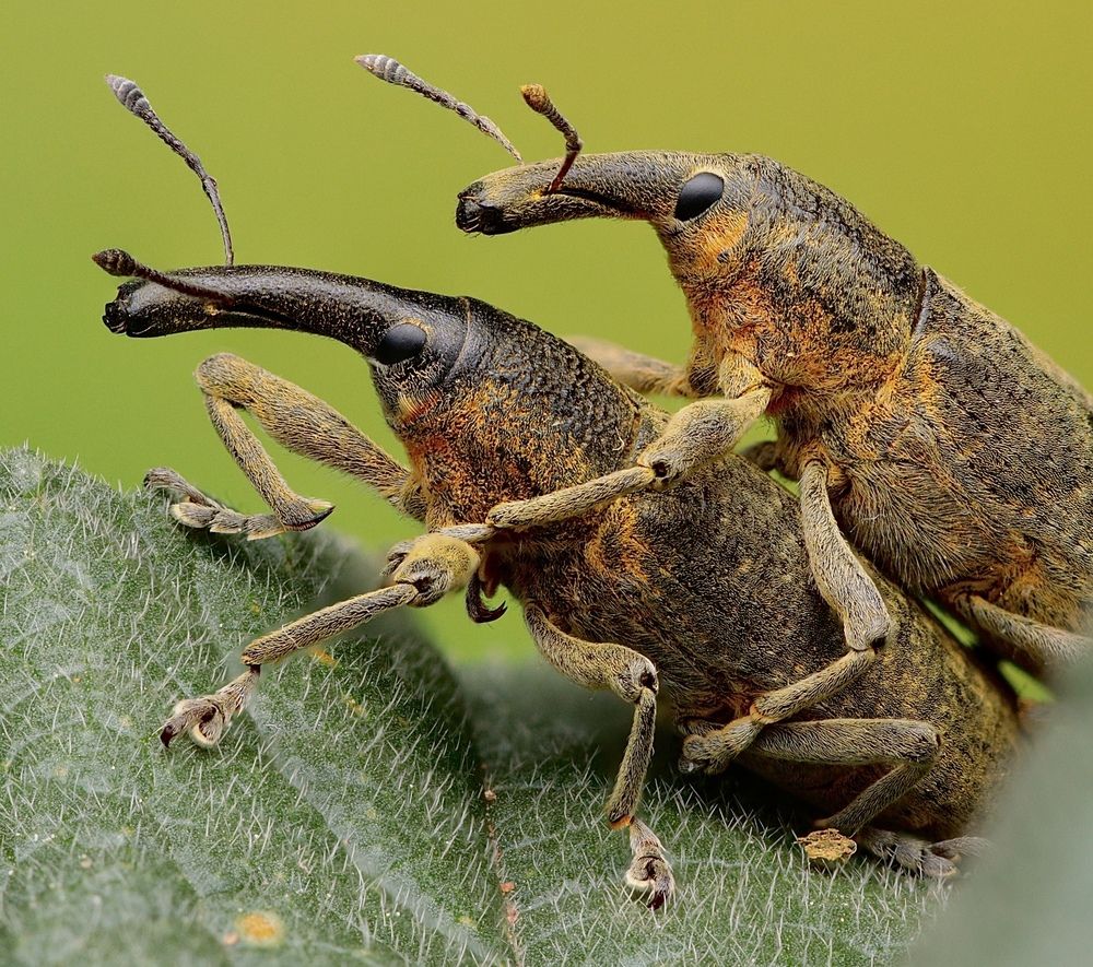 Photograph by Eduardo Salvador Cabrera