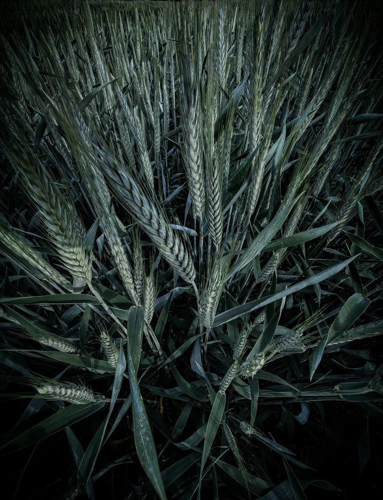 Photograph by Евгений Сеничев