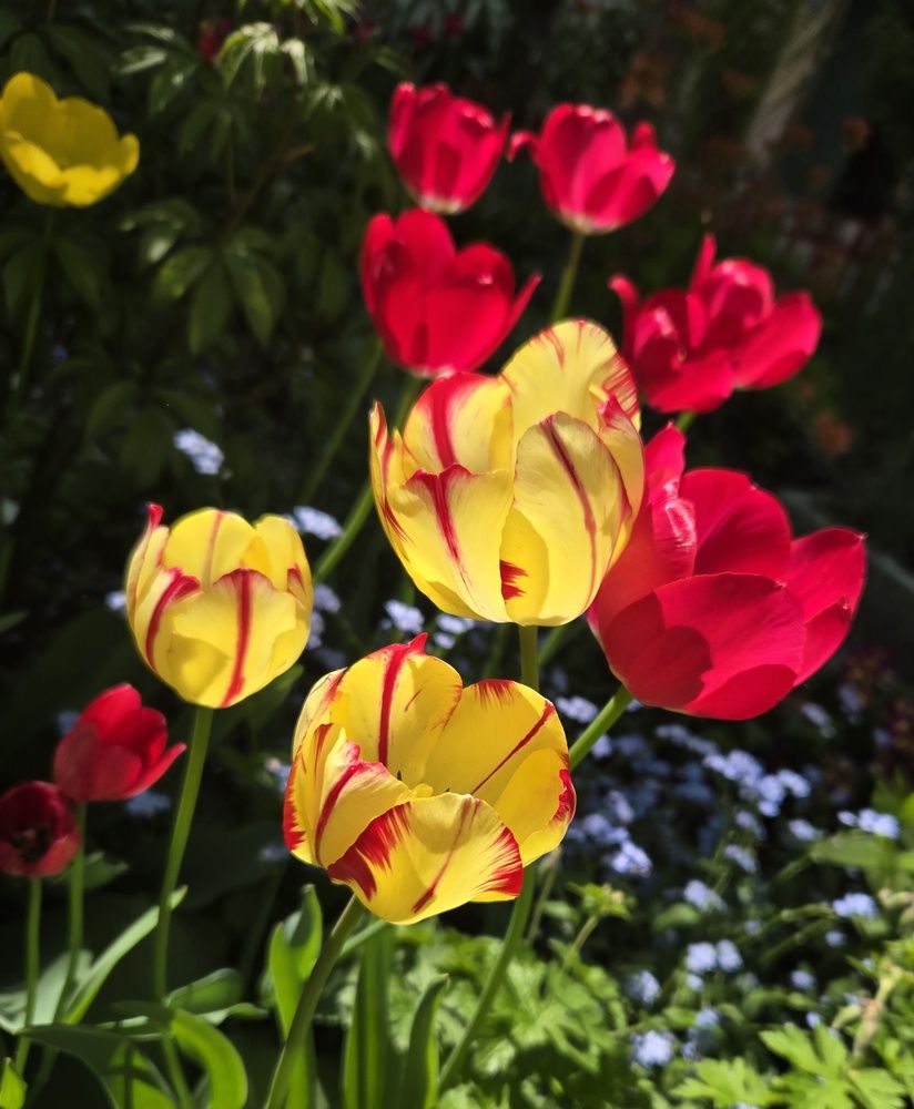 Photograph by Жанна Регор