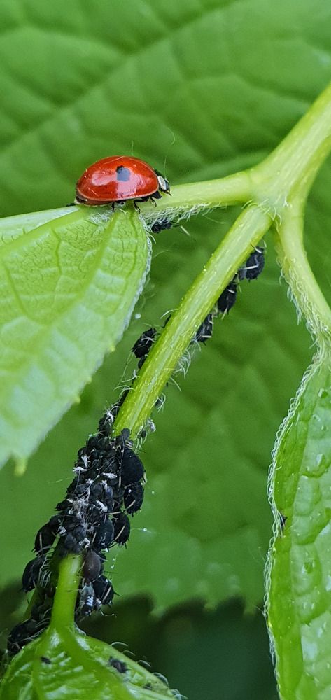 Photograph by Оксана Бессчетнова