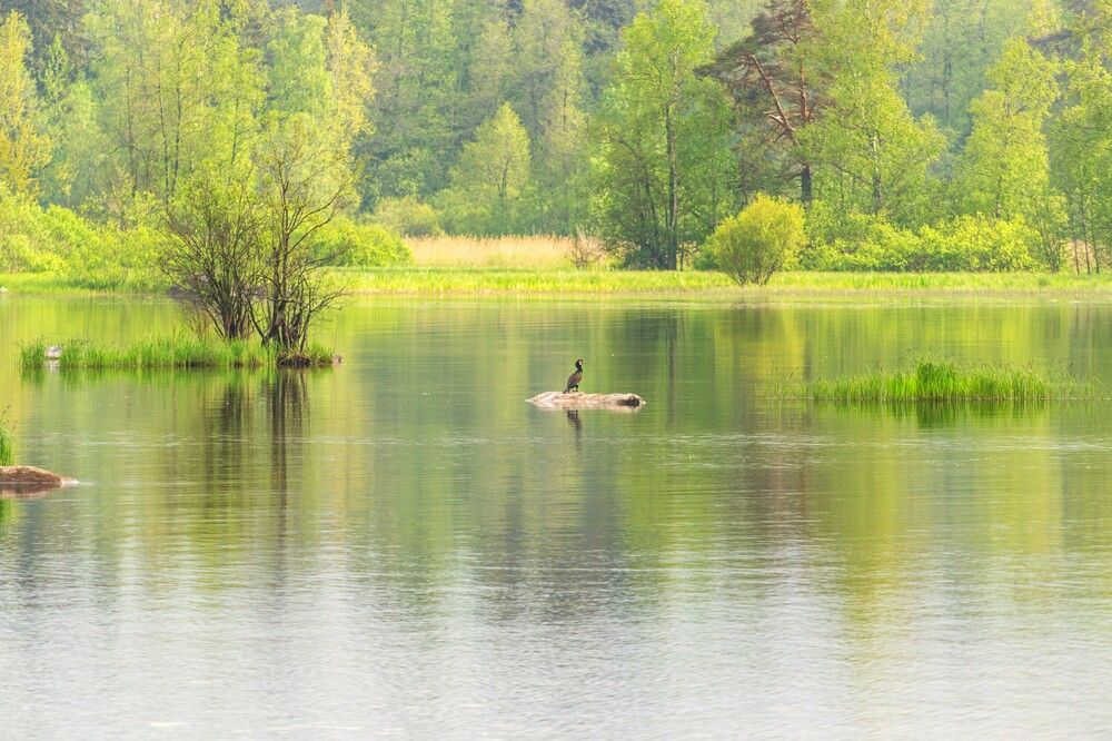 Photograph by Людмила Ваганова