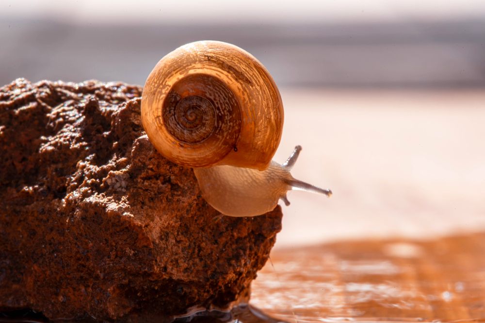 Фотография автора  Мария