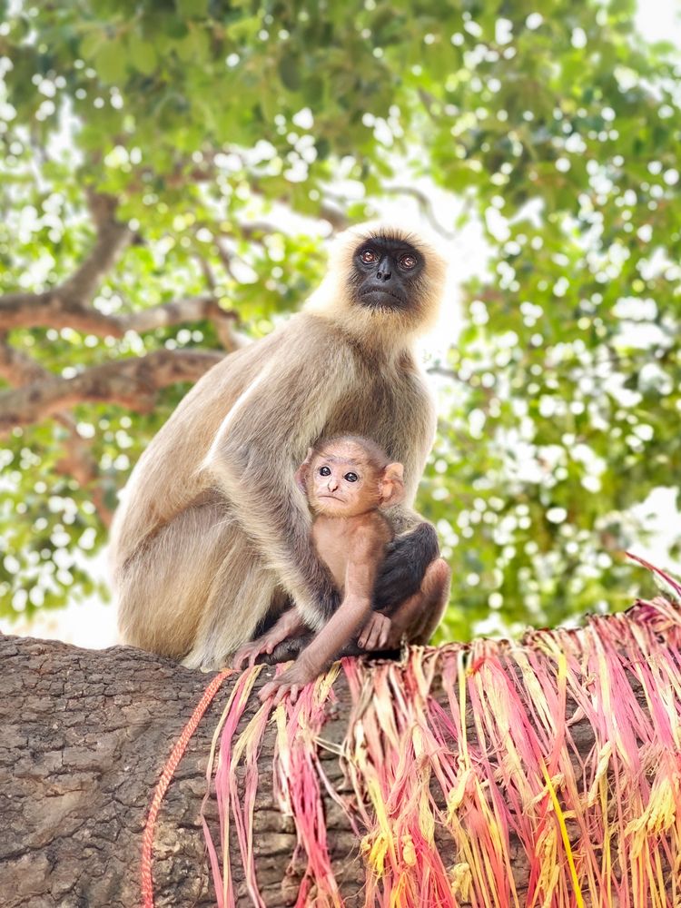 Photograph by Akash Pani