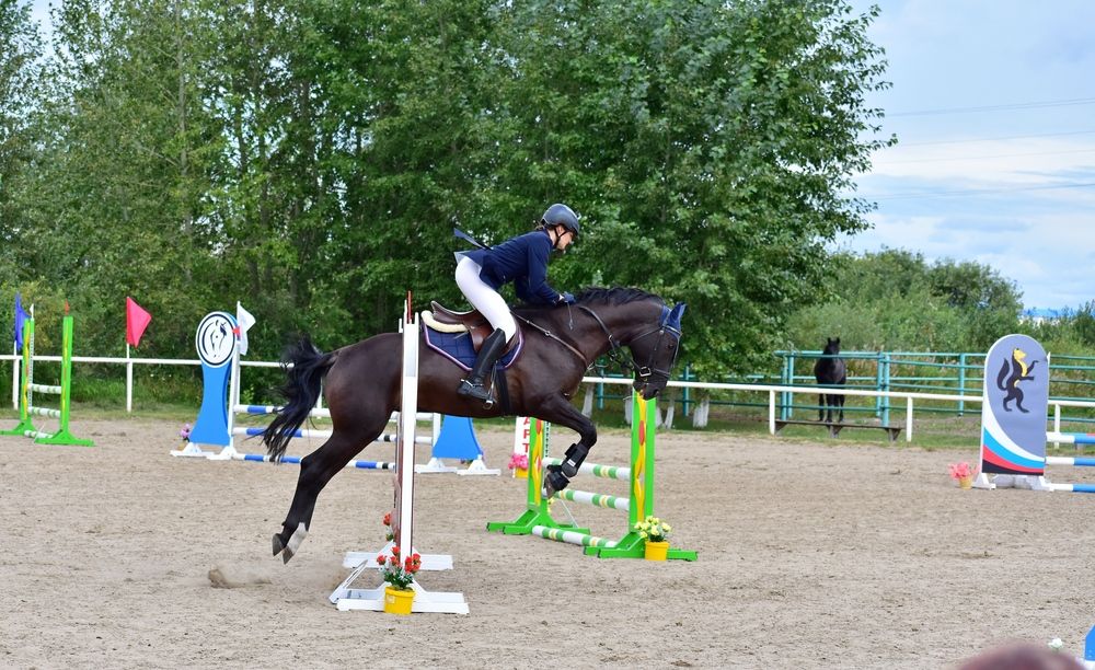 Photograph by Александр Козлов