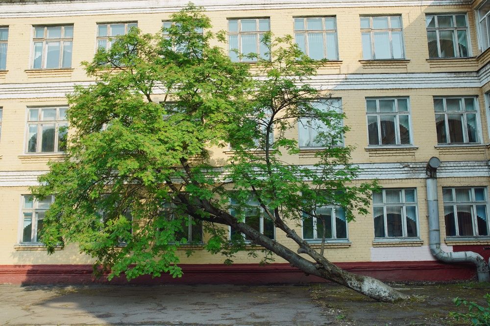 Вот такая Я...