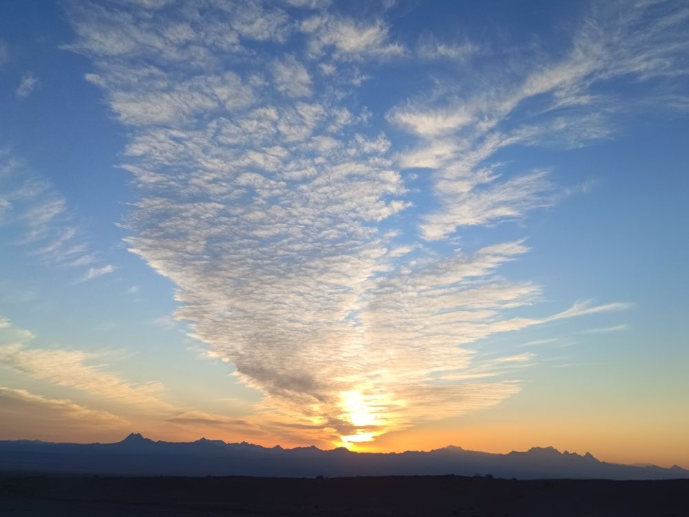 Photo #12262539