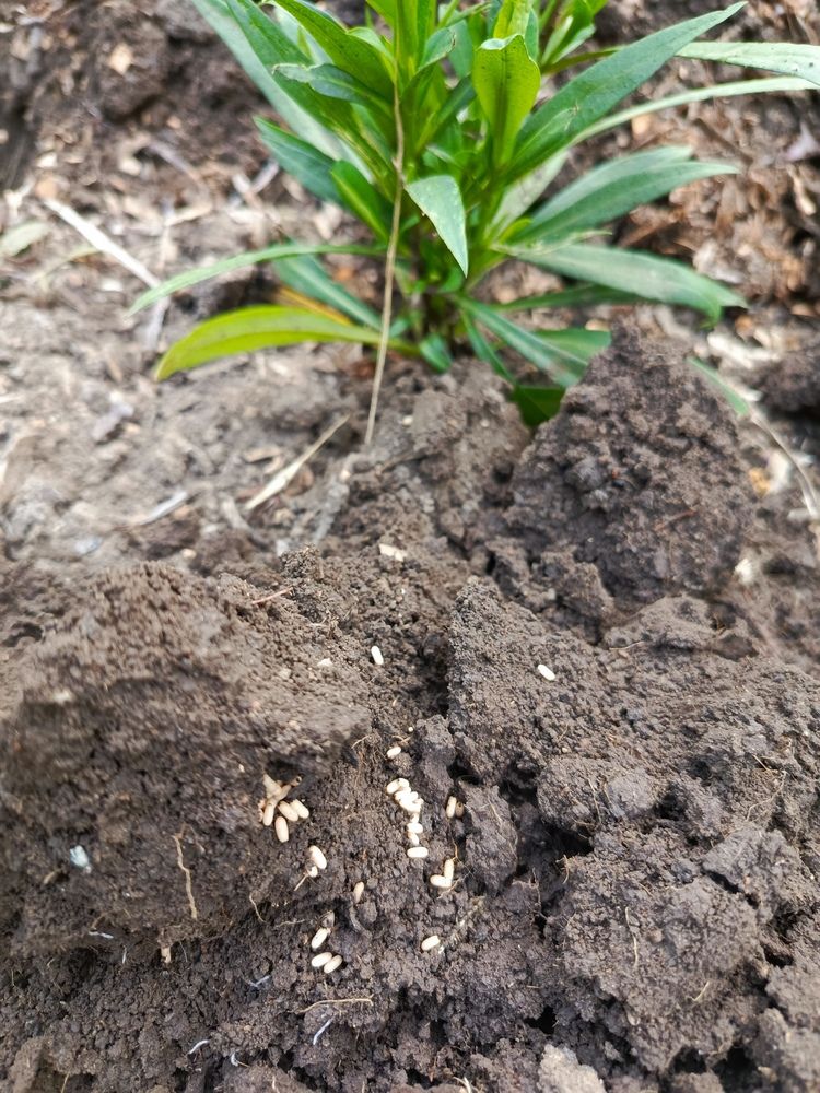 Photograph by Татьяна Пальчикова