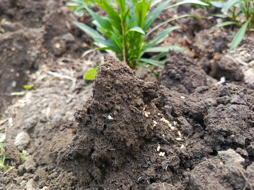 Photograph by Татьяна Пальчикова