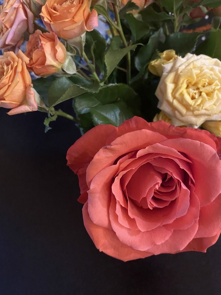 Photograph by Сергей Смирнов