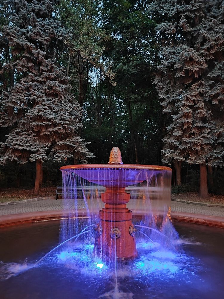 Photograph by Елена Шоколенко