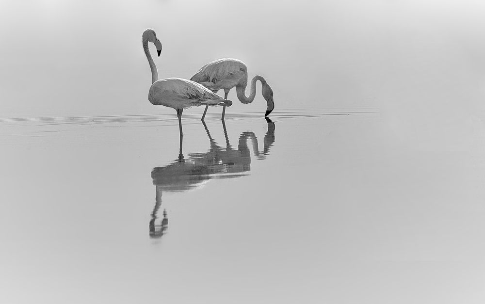 Photograph by Boris Bekelman