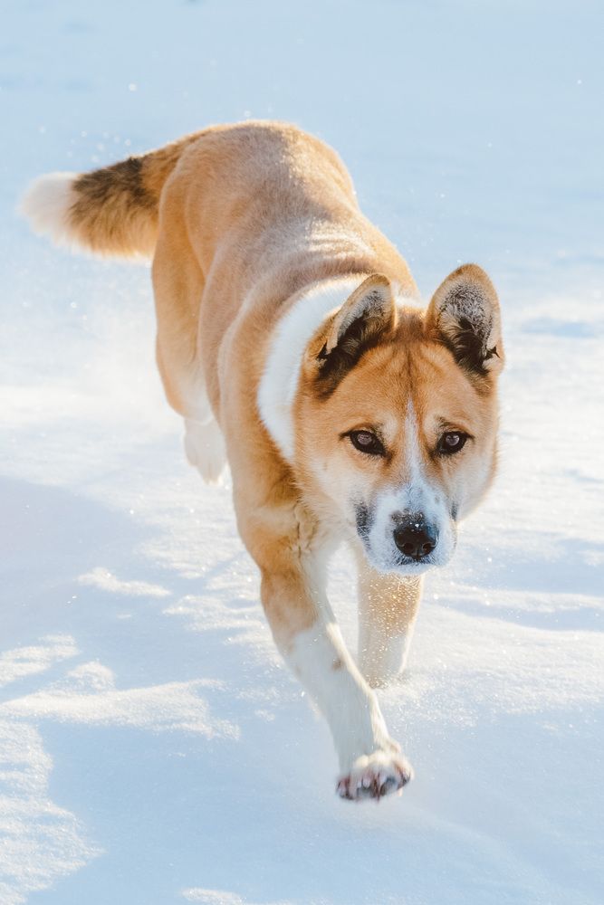 Photograph by Маргарита Спасенкова