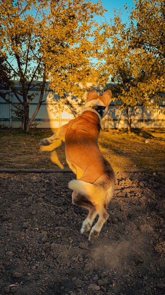 Photograph by Маргарита Спасенкова