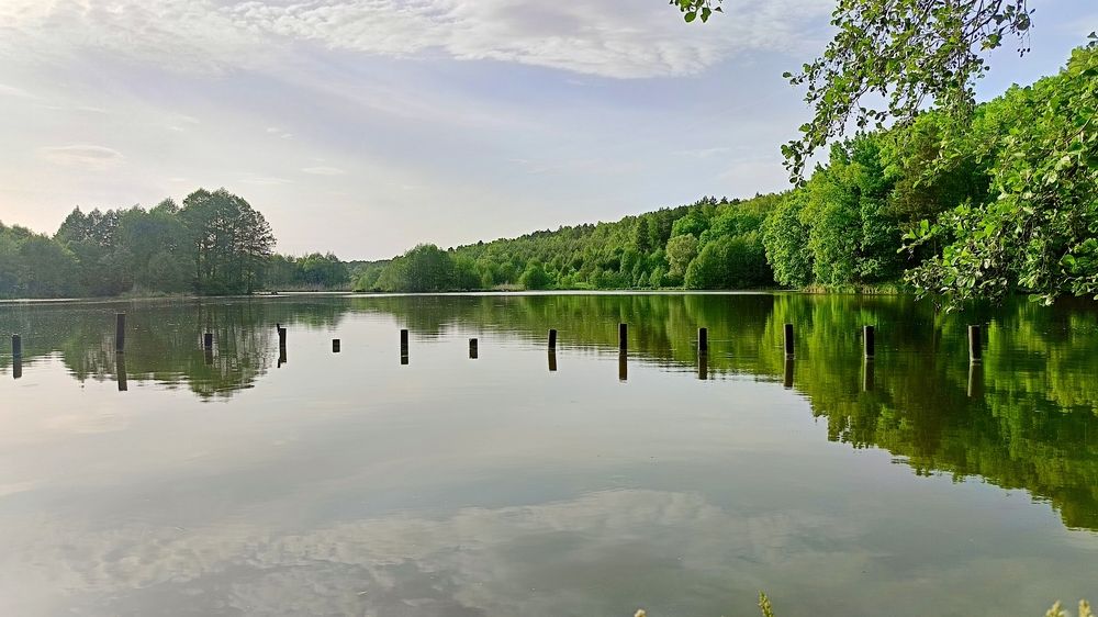 Photograph by Татьяна Пятернёва