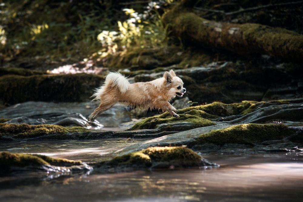 Photograph by Мария Кленовская