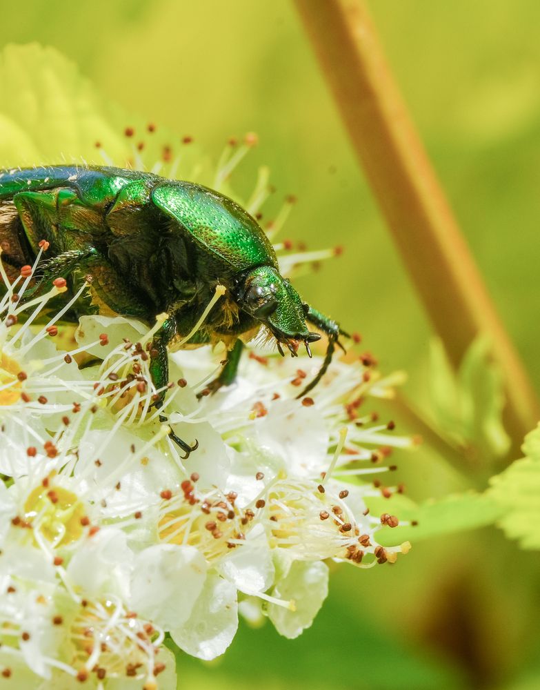 Photograph by Александр Высоцкий