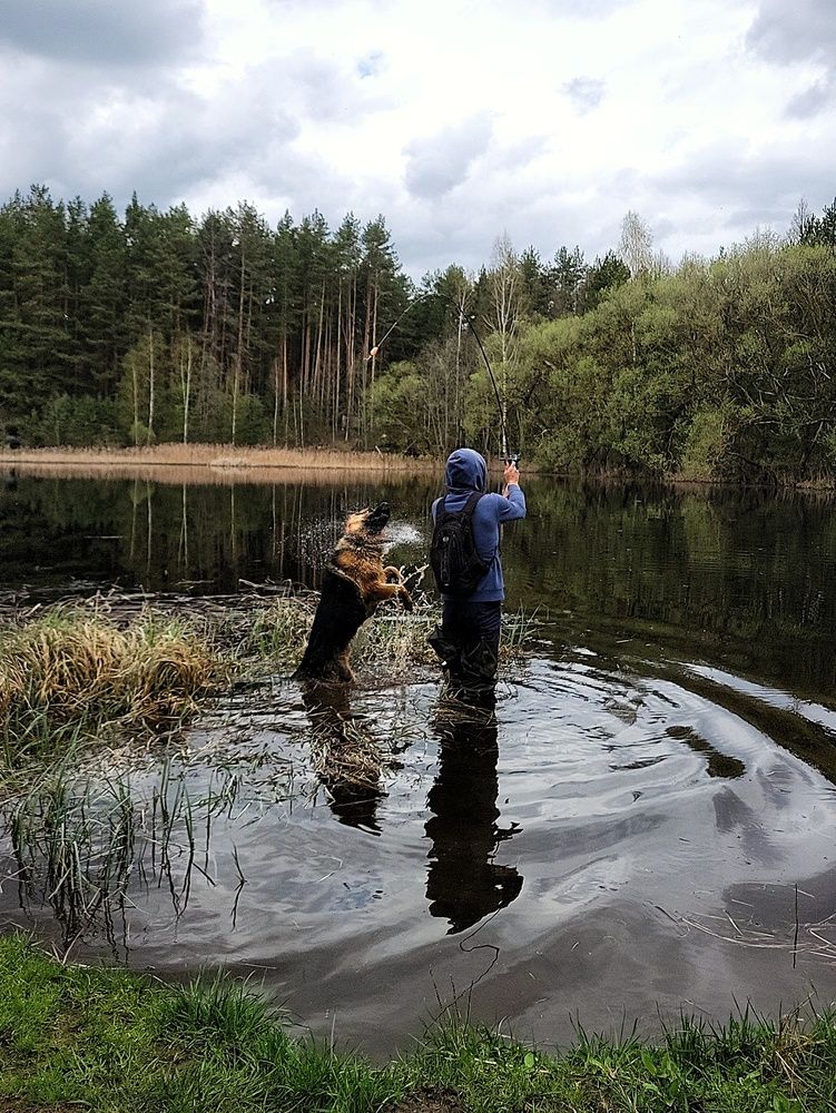 Photograph by Алина