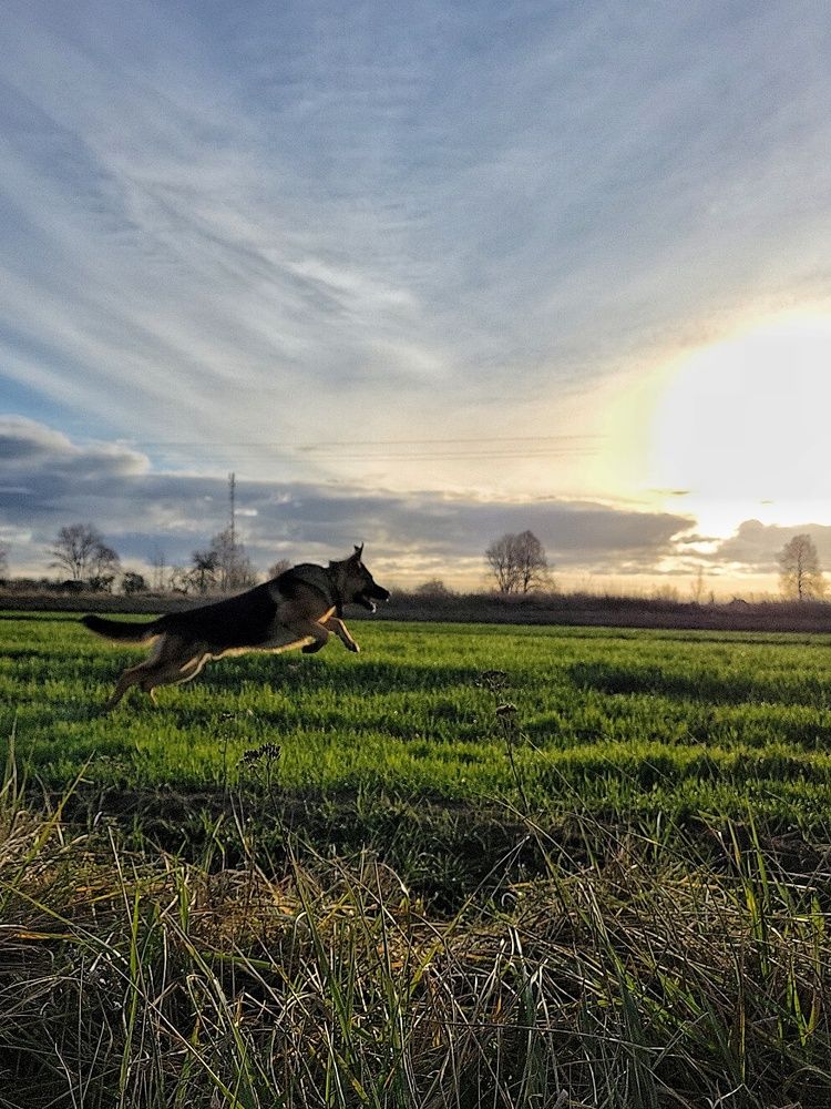 Photograph by Алина