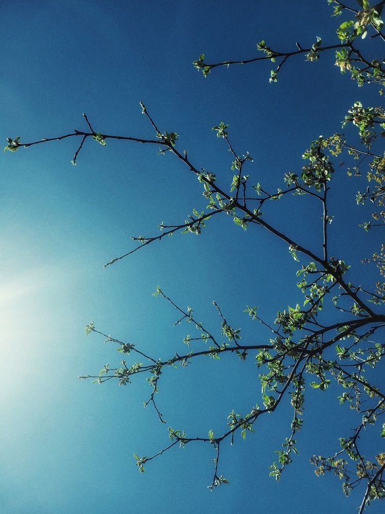 Photograph by Алина