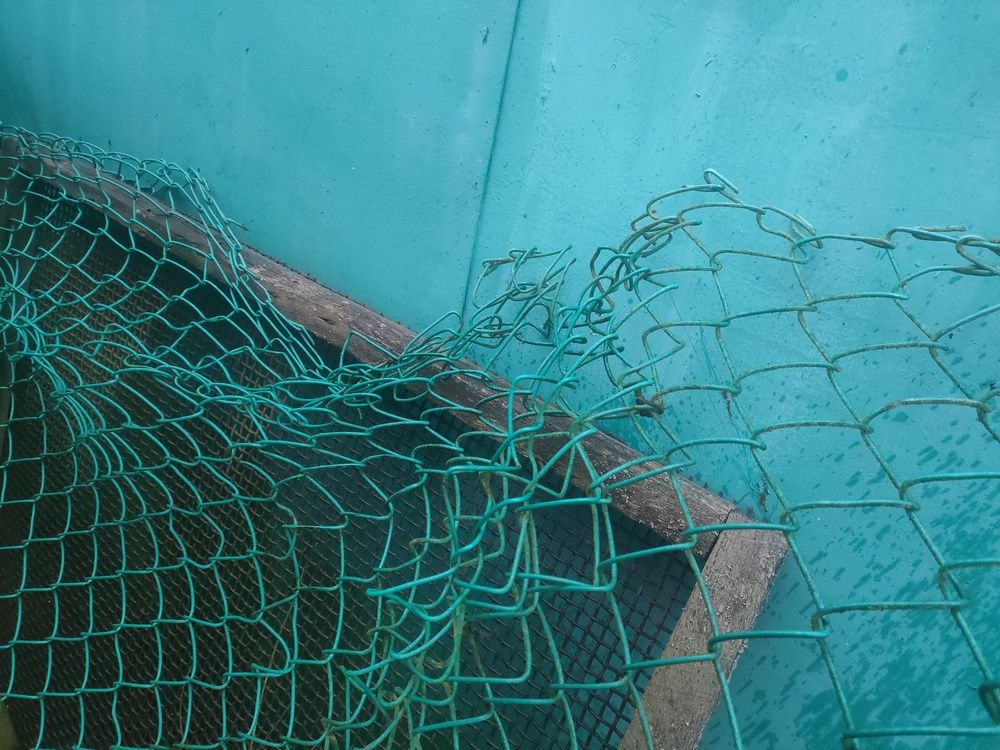 Photograph by Оксана Ботвина