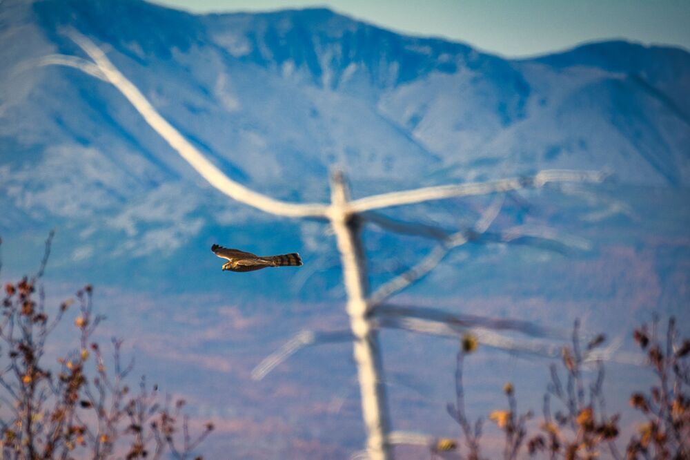 Фотография автора Alexander Tretyakov