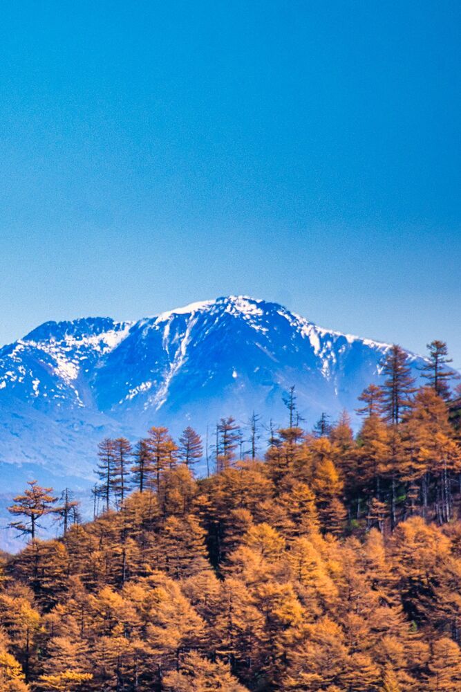 Фотография автора Alexander Tretyakov