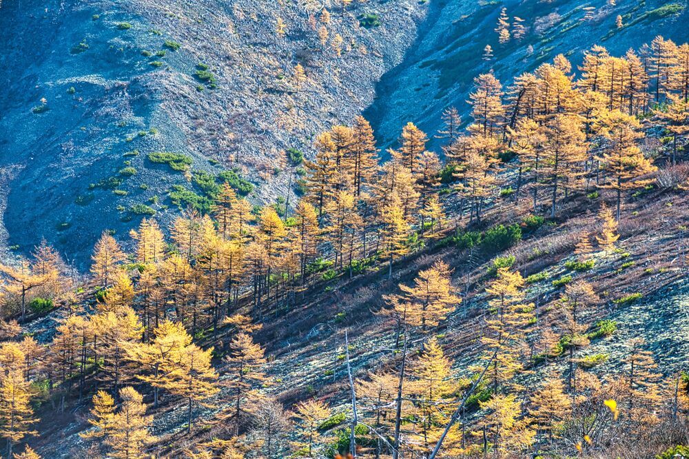 Фотография автора Alexander Tretyakov