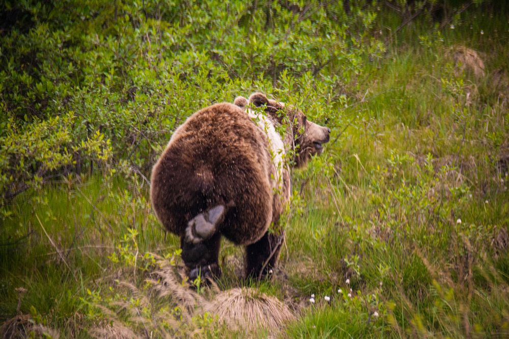 Фотография автора Alexander Tretyakov