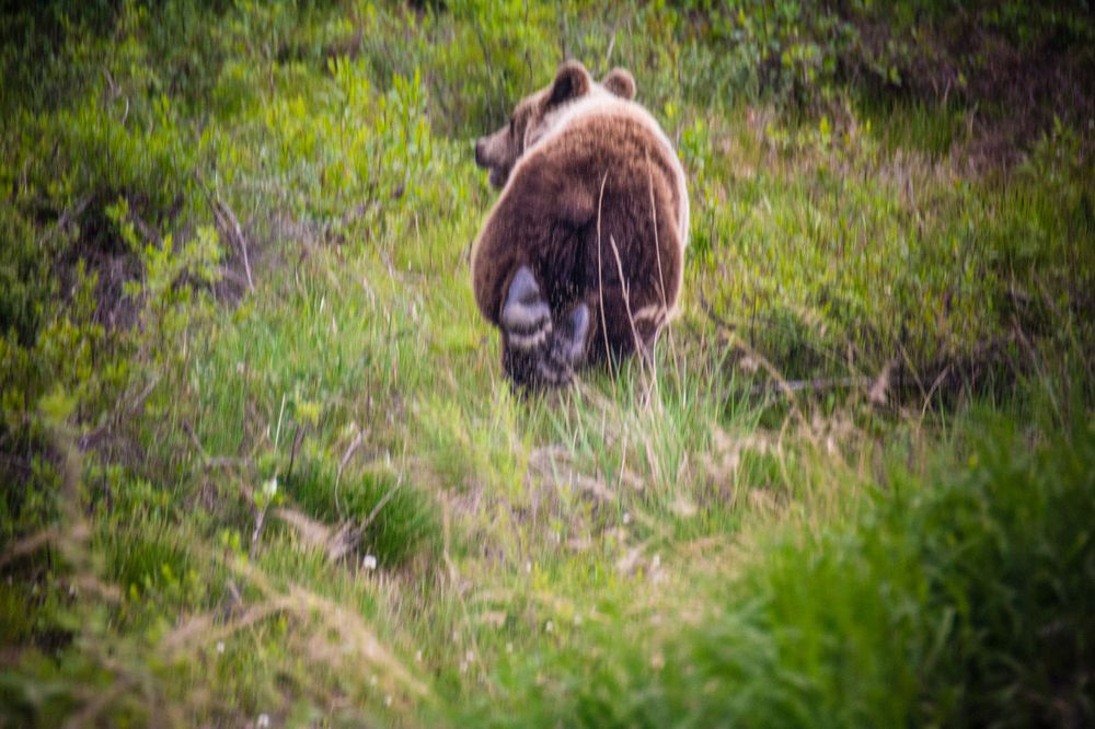 Фотография автора Alexander Tretyakov