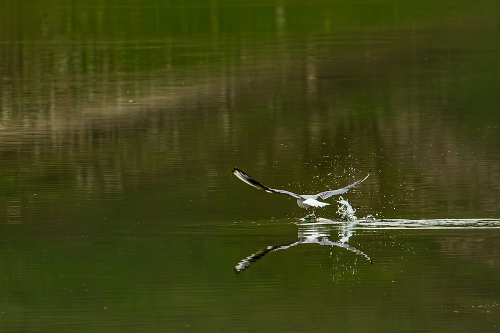 Photograph by Никита Борзов