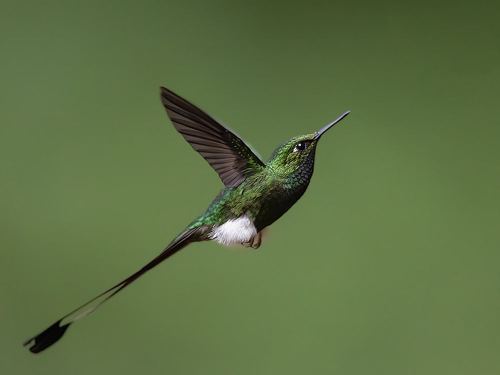 Photograph by Sreejith Sreedharan